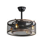 20-Inch Black Caged Ceiling Fan with Lights & Remote