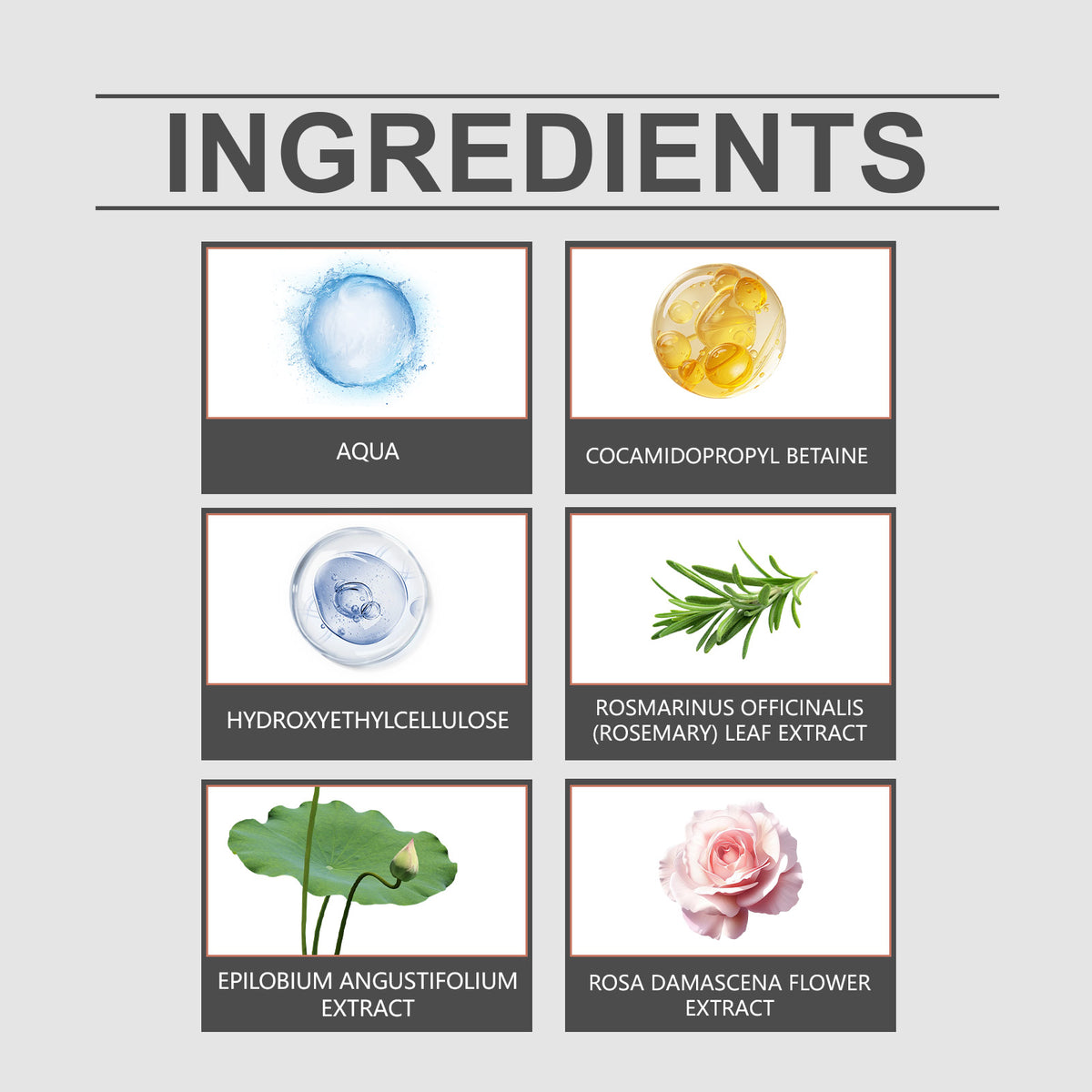 Rosemary Cleansing Scalp Shampoo