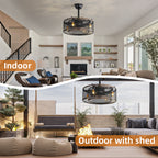 20-Inch Black Caged Ceiling Fan with Lights & Remote