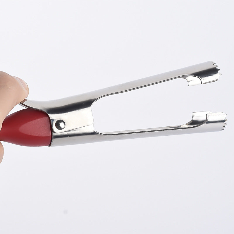 Fruit Corer Apple Corer Pulp Separator Apple Corer