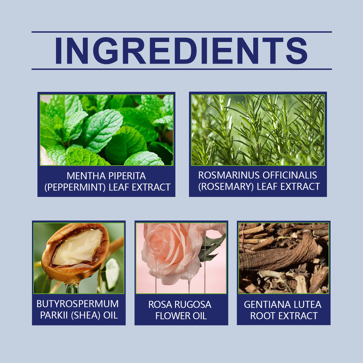 Oceaura Herbal Balm Moisturizes And Moisturizes Body Skin With Mosquito Bite Skin Care Balm
