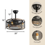 20-Inch Black Caged Ceiling Fan with Lights & Remote