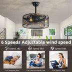 20-Inch Black Caged Ceiling Fan with Lights & Remote