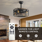 20-Inch Black Caged Ceiling Fan with Lights & Remote
