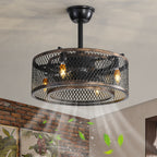 20-Inch Black Caged Ceiling Fan with Lights & Remote